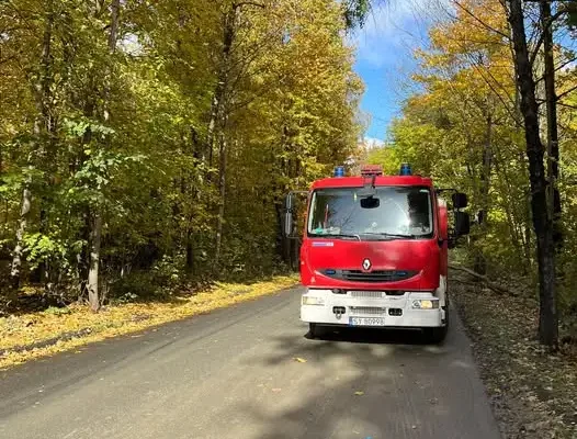 Drzewa na jezdni na ul. Zachodniej – interwencja OSP Stolarzowice