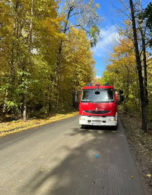 Drzewa na jezdni na ul. Zachodniej – interwencja OSP Stolarzowice